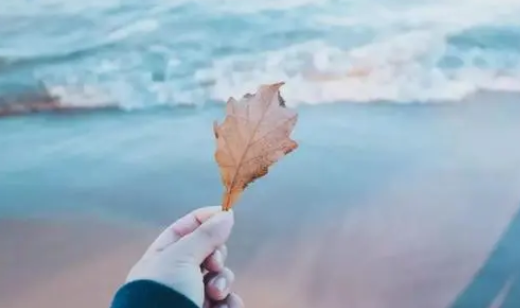 吵架分手还能复合吗（快结婚分手了还能复合吗）